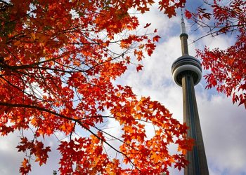 Esomar names Canadian representatives | News