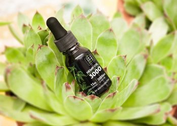 Best CBD Oil for Sleep: Our Top Picks