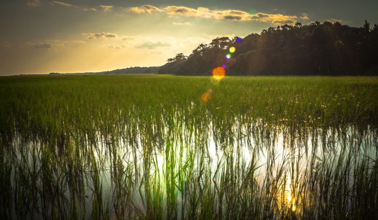 Duke Energy Foundation seeking requests to fund programs preserving S.C.’s natural places