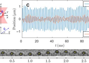 Coherent oscillations of a levitated birefringent microsphere in vacuum driven by nonconservative rotation-translation coupling