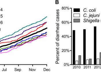 Vaccine-mediated protection against Campylobacter-associated enteric disease