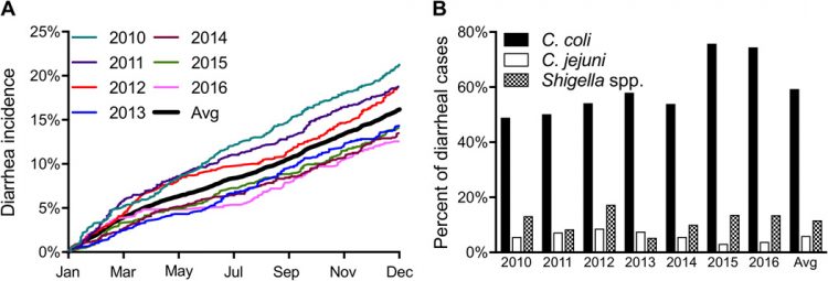 Vaccine-mediated protection against Campylobacter-associated enteric disease