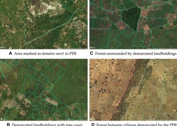 Formalizing land rights can reduce forest loss: Experimental evidence from Benin