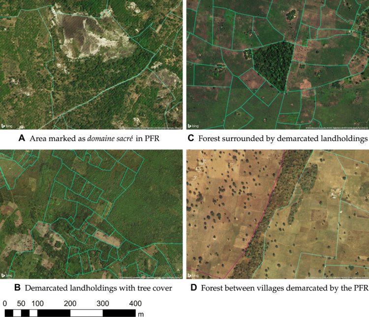 Formalizing land rights can reduce forest loss: Experimental evidence from Benin