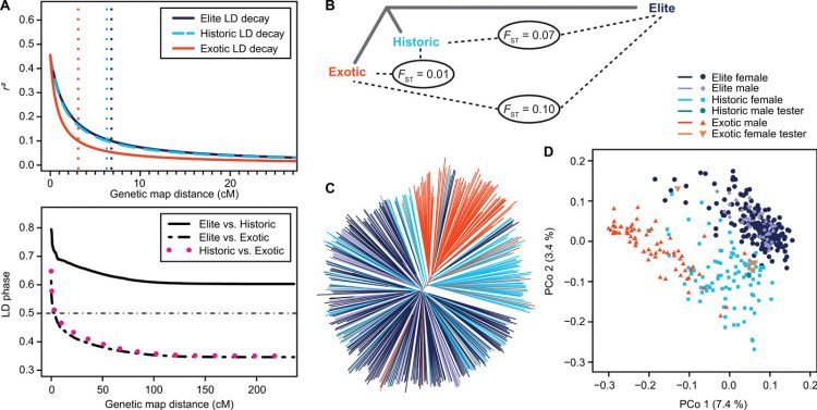 Negative dominance and dominance-by-dominance epistatic effects reduce grain-yield heterosis in wide crosses in wheat