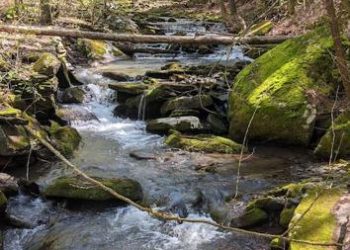Ashokan Watershed Stream Management Program offering project funding | Local News