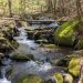 Ashokan Watershed Stream Management Program offering project funding | Local News