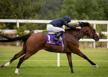 Twin assault for Galileo in Irish 2,000 Guineas as Group 1 record beckons | Bloodstock News