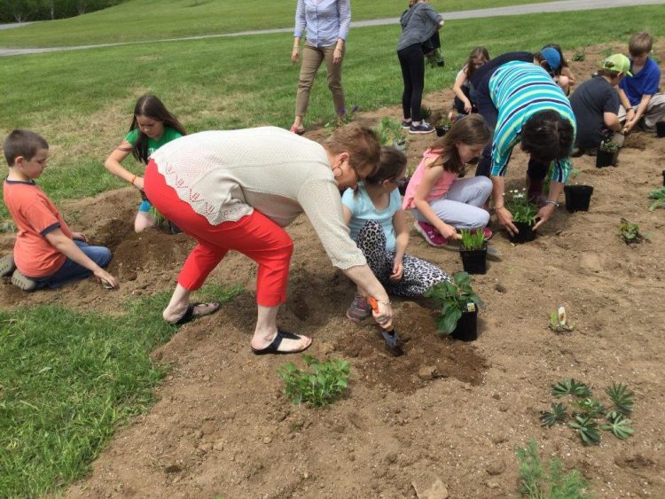 Take Action With WWF: Apply For Funding