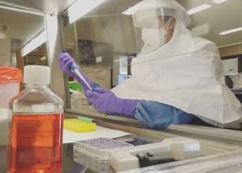 CSU Receives More Funding For Its Vaccine Candidate For COVID-19 – CBS Denver