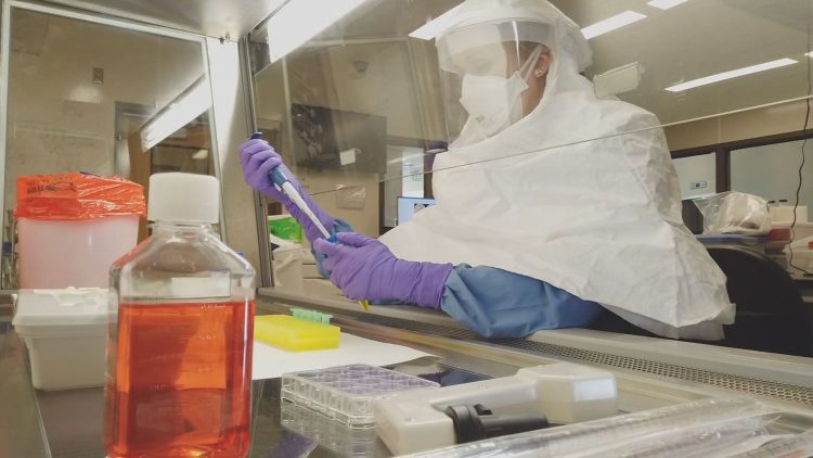 CSU Receives More Funding For Its Vaccine Candidate For COVID-19 – CBS Denver