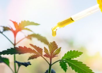 Providing The Legitimacy of Cannabinoids for the Treatment of Cancer