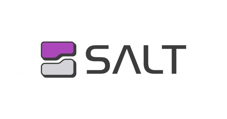 Salt Security Closes $20 Million Series A Funding Round Led by Tenaya Capital