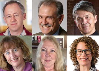 Six UC Berkeley-led projects win funding to combat COVID-19 with AI