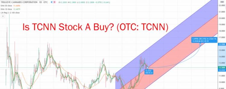 Trulieve Cannabis Stock Dips. Is TCNNF Stock A Buy? (OTC: TCNNF)