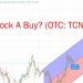 Trulieve Cannabis Stock Dips. Is TCNNF Stock A Buy? (OTC: TCNNF)