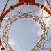 Body surface area, physiologic remodeling may affect cardiac findings in WNBA athletes