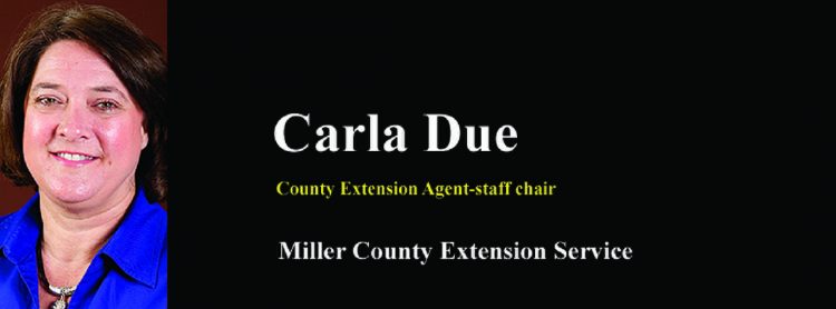 How to wash fresh produce more effectively