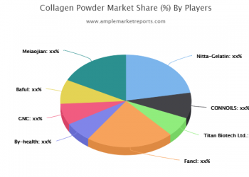 Latest Innovations in Collagen Powder Market that will Drive the Growth of Industry