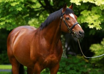 Leading Sire Galileo Has Two Sons in Irish Group 1