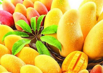 Mango-walnut delicacies for summer – WeForNews