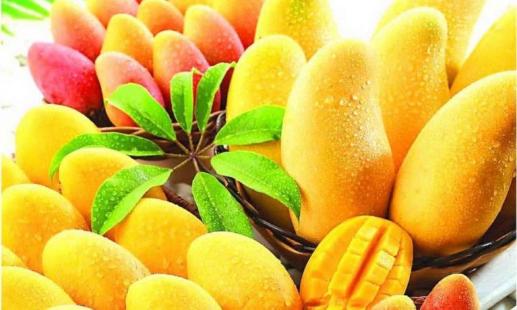 Mango-walnut delicacies for summer – WeForNews