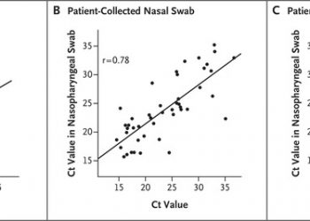 Swabs Collected by Patients or Health Care Workers for SARS-CoV-2 Testing