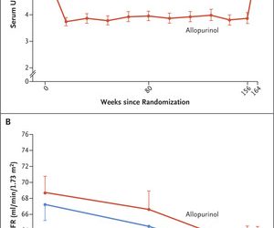 Serum Urate Lowering with Allopurinol and Kidney Function in Type 1 Diabetes