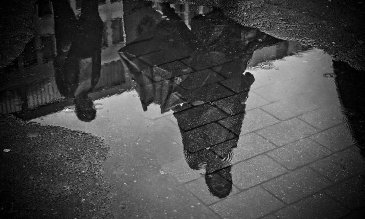 Cardano, Ethereum Classic, Algorand Price Analysis: 13 June