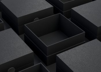 What’s in The Box? Explainability versus Accuracy in AI Models