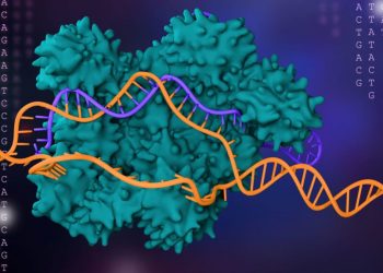 Roper Eyes Biotech, New Materials Funding; NGAD Gets PEO « Breaking Defense