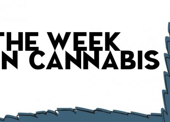 The Week In Cannabis: Stocks Surge Despite Civil Unrest, And 15+ Other Stories
