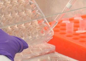 LSU working on ‘unique’ COVID-19 vaccine; applying for expedited funding