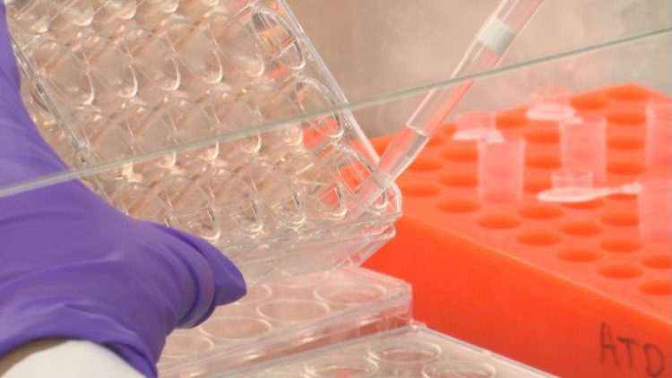 LSU working on ‘unique’ COVID-19 vaccine; applying for expedited funding