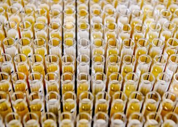 Antivirus: A weekly digest of the latest COVID-19 research