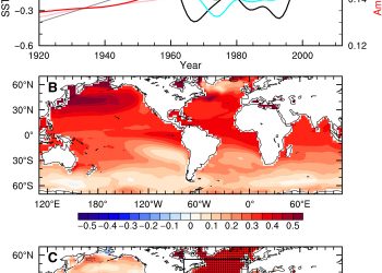 Aerosol-forced multidecadal variations across all ocean basins in models and observations since 1920