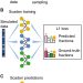 Deep learning–based cell composition analysis from tissue expression profiles