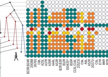 Diverse variola virus (smallpox) strains were widespread in northern Europe in the Viking Age