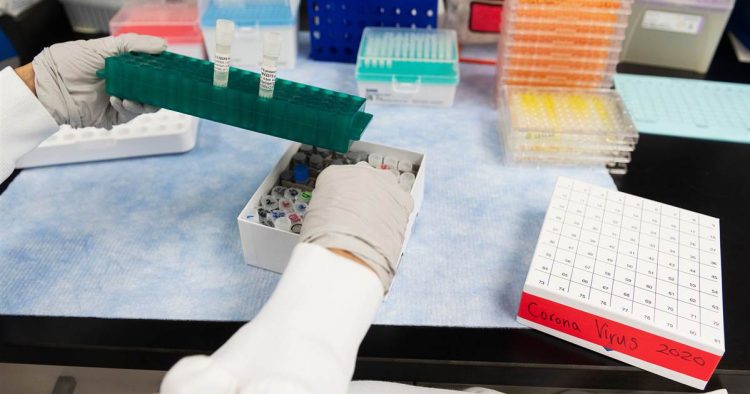 Pharmaceutical executives are getting multimillion-dollar payouts — without even producing a vaccine