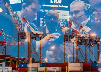 After a Staggering Rally, What’s Next for Stocks?