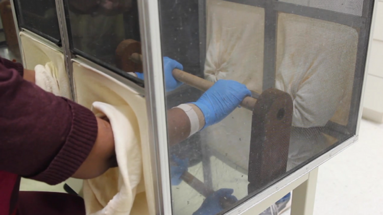 Two insect repellents ranked ‘top performers’ by testers at Consumer Reports – KOMO News