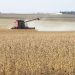 Soybean harvest price of $8.36 predicted | AG
