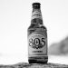 Firestone Walker to Test Out First 805 Line Extension Cerveza in California Markets in August