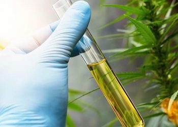 Anticipated FDA Document Does Little to Clarify Consumer CBD Product Regulations