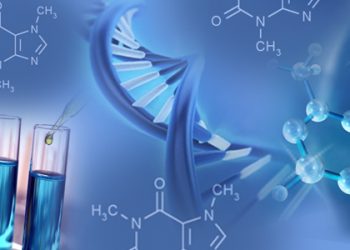 Global Pharmaceutical Containers Market Insights, Trend and Forecast 2020 to 2025 – NJ MMA News
