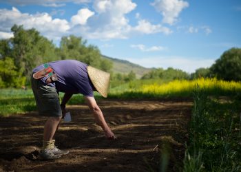 Getting produce from the field to your table needs attention