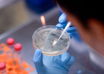 Nearly $425K In Federal Funding Will Be Dedicated To COVID-19 Research at UMD Baltimore – CBS Baltimore