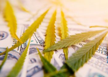 Optimism in cannabis investing exists — even amid a global pandemic