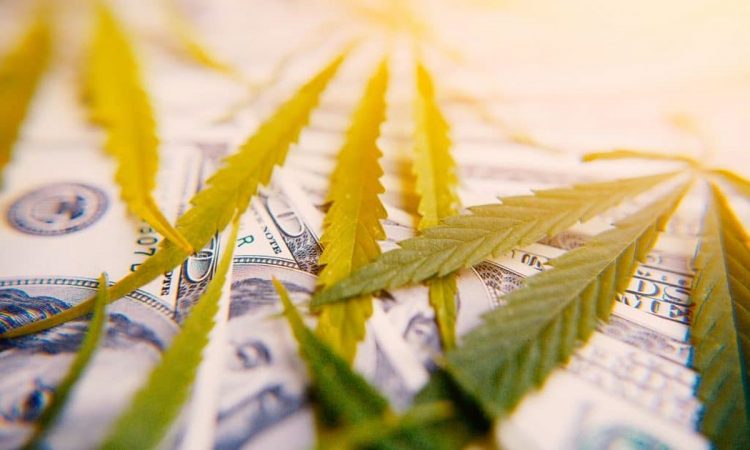 Optimism in cannabis investing exists — even amid a global pandemic
