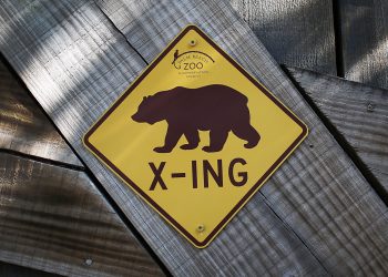 ‘The market isn’t pricing in an all-clear on the economy,’ say BofA analysts, who say the S&P 500 will end the year at 2900